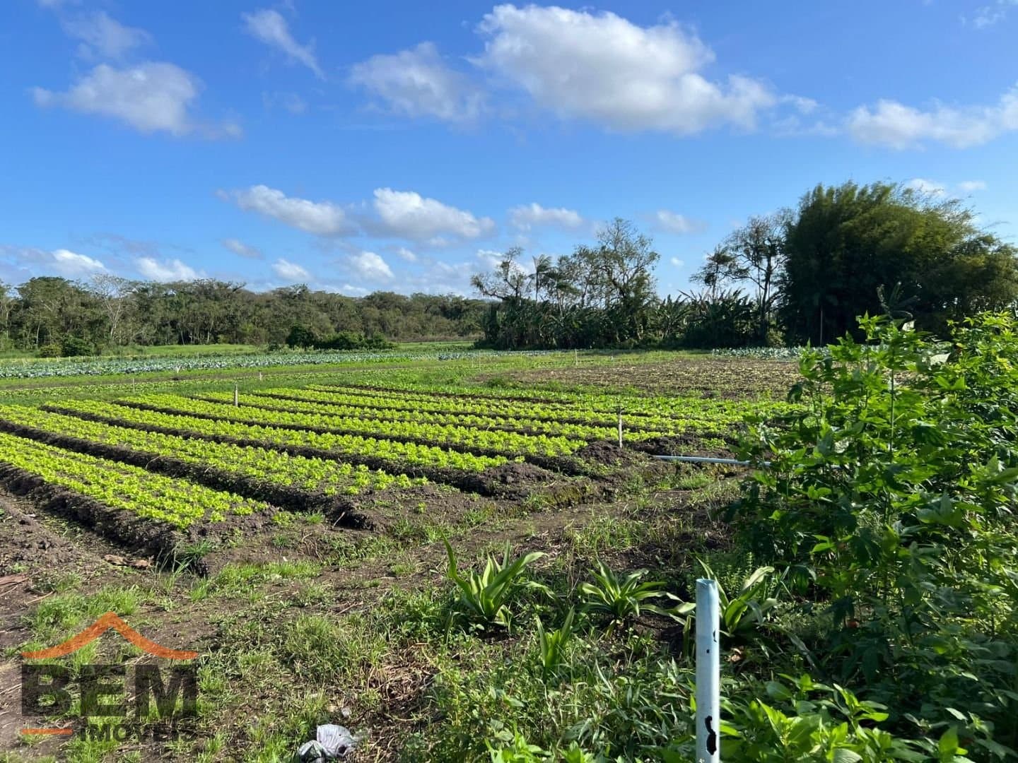 Terreno para Venda no bairro São Vicente, em Itajaí