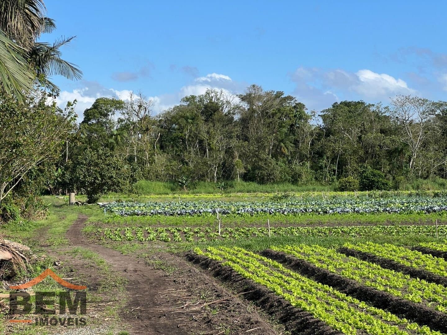 Terreno para Venda no bairro São Vicente, em Itajaí