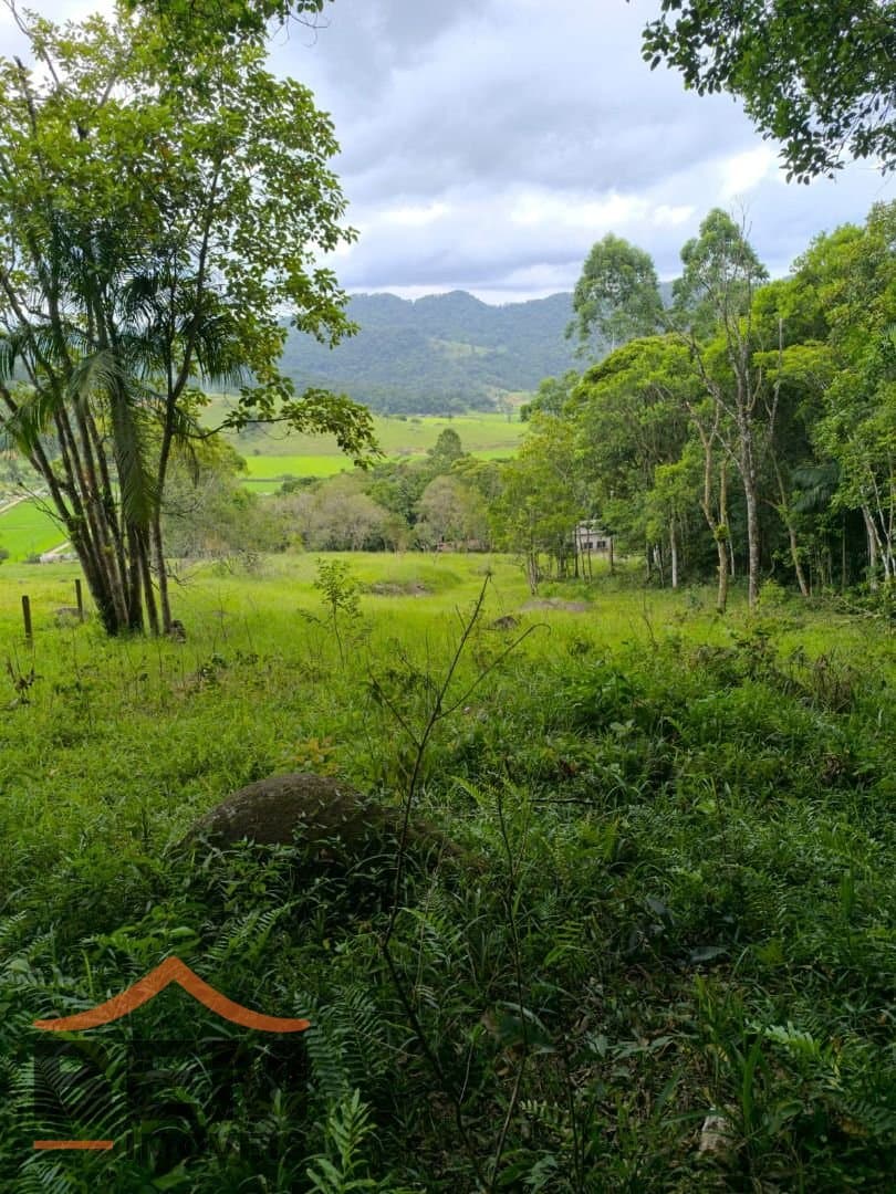 Sítio para Venda com 4 quartos e 200m² no bairro Vila Conceição, em Camboriú