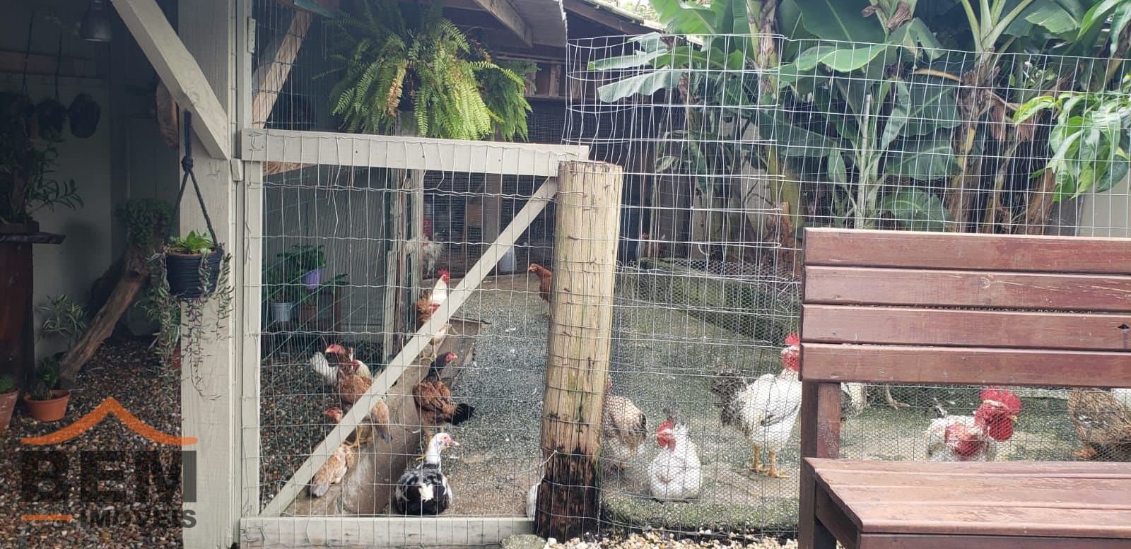 Sítio para Venda com 2 quartos e 75m² no bairro Rio de Meio, em Itajaí