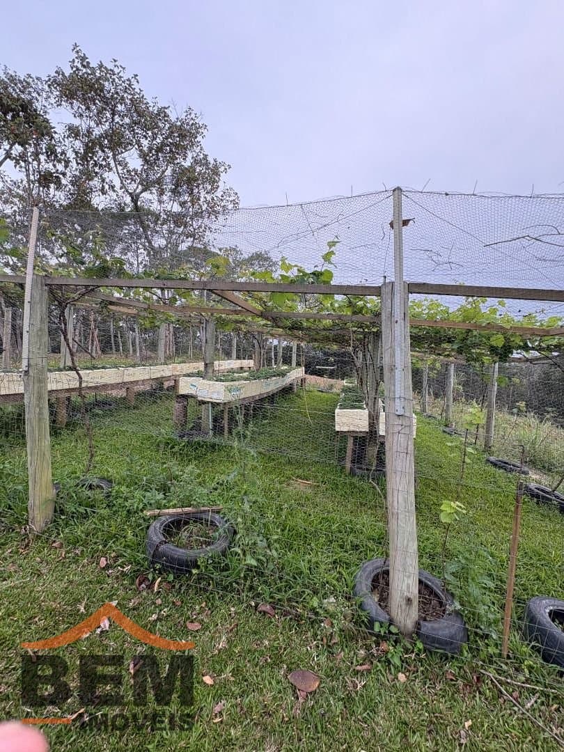 Sítio para Venda com 2 quartos no bairro Rio Do Meio, em Camboriú